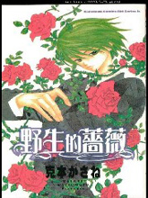 野生的蔷薇,野生的蔷薇漫画